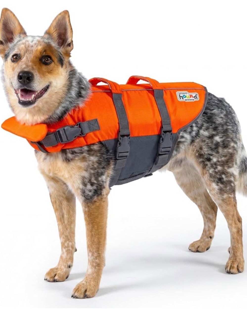 OUTWARD HOUND High-Visibility Orange and Gray Dog Life Jacket